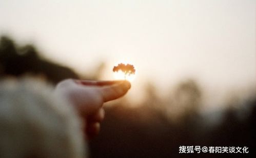 句子,能量,心態(tài)