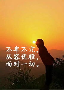 英文,積極向上,手寫,句子