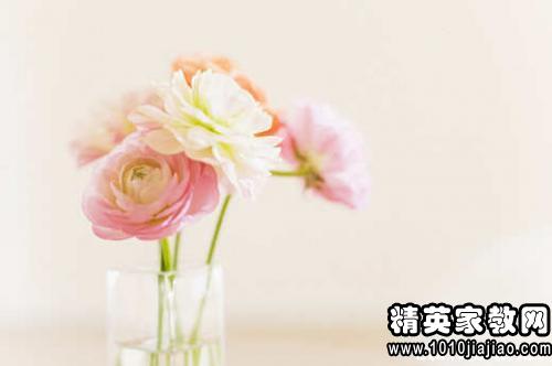 積極工作正能量的句子,充滿工作正能量的句子,工作的正能量的簡短句子