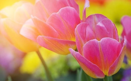 讀書收獲正能量句子