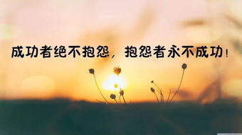 積極向上的句子勵志:充滿正能量的短句,積極向上正能量的句子勵志語錄短句,積極向上正能量的短句子勵志語錄