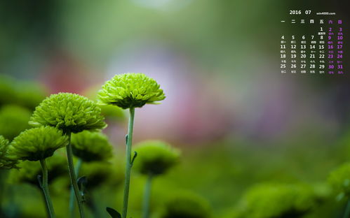 關(guān)于學(xué)校安全的正能量的句子