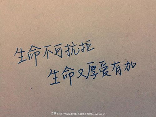 句子,能量,感染