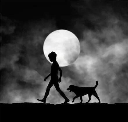 句子,勵志,心向,能量