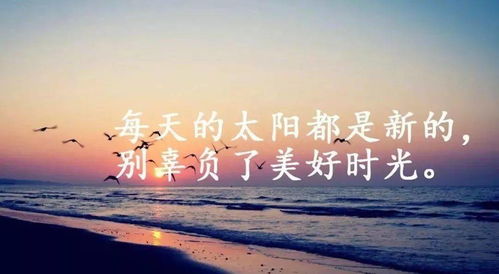 工作激勵(lì)人心的句子正能量段子英語,勵(lì)志激勵(lì)人心的句子正能量,激勵(lì)人心的句子簡短正能量