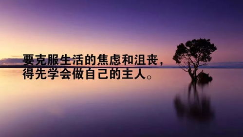 一句話正能量的句子經(jīng)典語句,正能量走心的句子簡(jiǎn)短一句話,今日收獲正能量的句子一句話