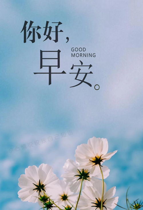 句子,能量,帶娃正