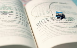 工作正能量感悟及心得體會,簡短工作心得體會句子,對工作的感悟心得體會的句子