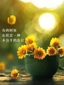 句子,心語,能量,每日