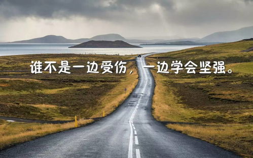 隨和的正能量句子