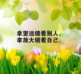 句子,唯美,能量,陽(yáng)光