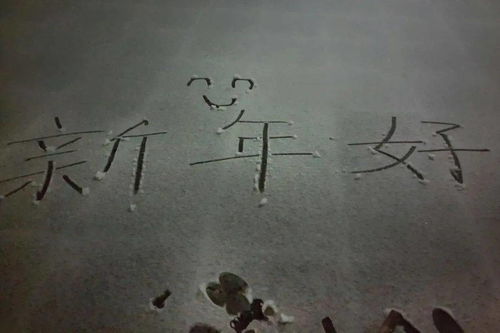 句子,能量,禪語(yǔ)正