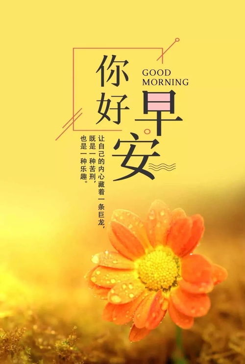 問早安正能量的句子經(jīng)典語(yǔ)句
