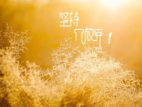 積極陽光溫暖正能量的句子,團(tuán)隊(duì)溫暖正能量的句子,善良溫暖正能量的句子