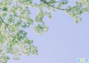 正能量調皮句子