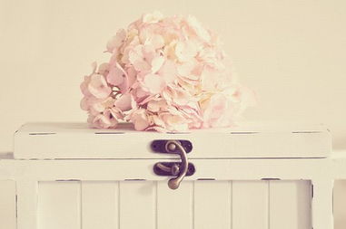 禪語(yǔ)正能量的句子