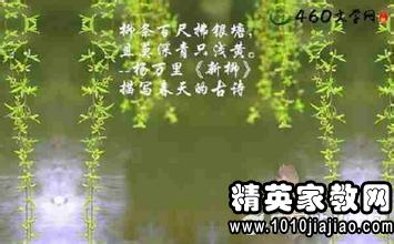 句子,小雨,能量,提醒