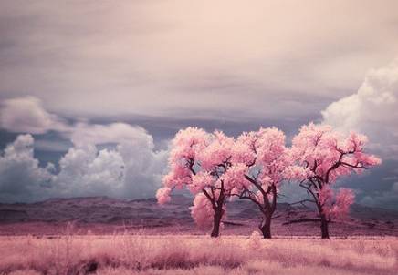 心向陽光正能量的句子工作勵志