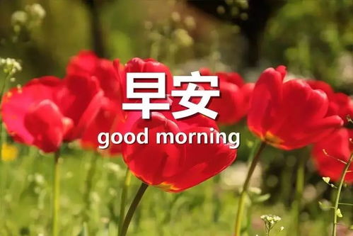 工作正能量早安的句子說說心情短語