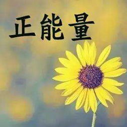 句子,能量,夢想,生活