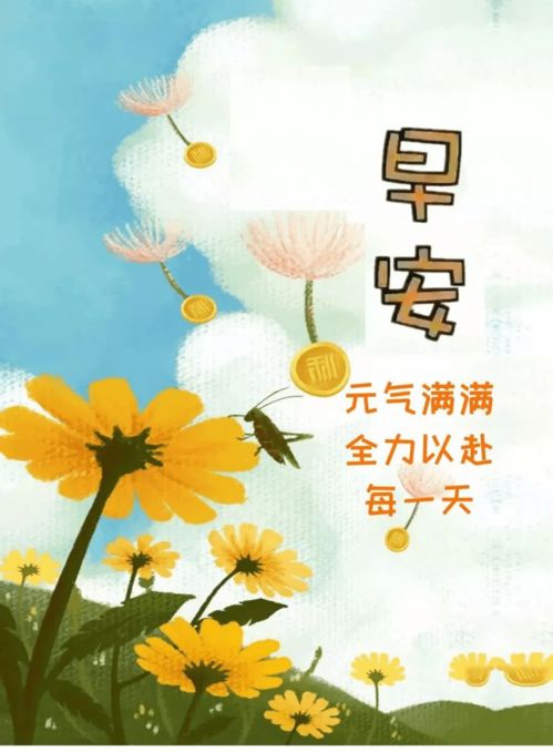 句子,能量,早上,適合