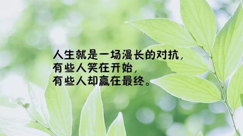 正能量勵(lì)志發(fā)圈的句子,女人正能量發(fā)圈吸引人的句子,生病發(fā)圈的正能量句子