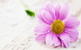 中藥正能量句子