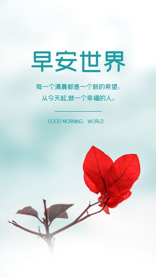 句子,能量,早上,陽(yáng)光