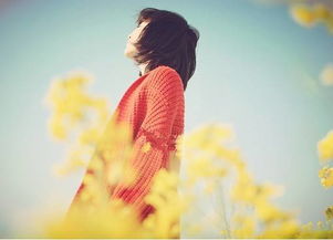 句子,能量,思念,心情