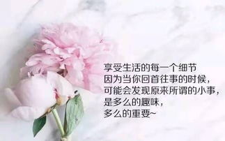 睿智的正能量句子