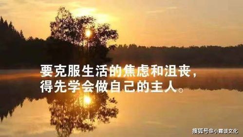 句子,能量,星星