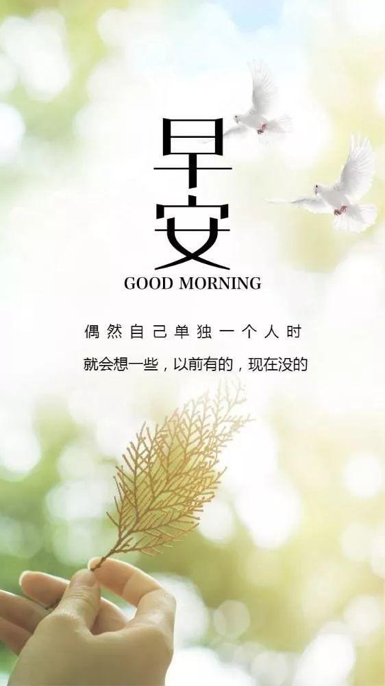 句子,滿滿,能量,努力