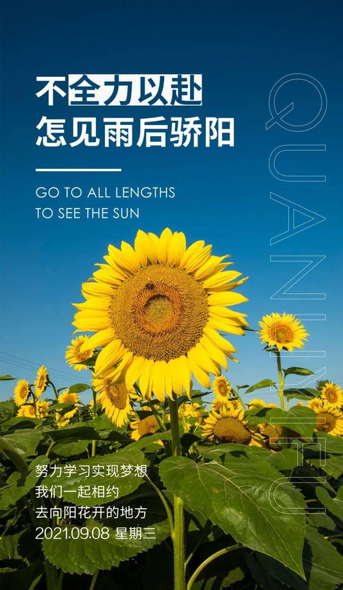 句子,能量,下午,問候語(yǔ)