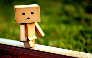 句子,能量,傳播,教師