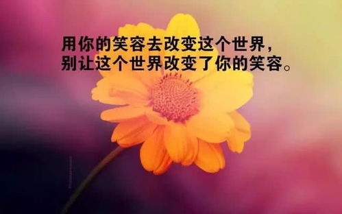 晚安激勵正能量的句子,激勵每天正能量的句子,激勵班級正能量的句子