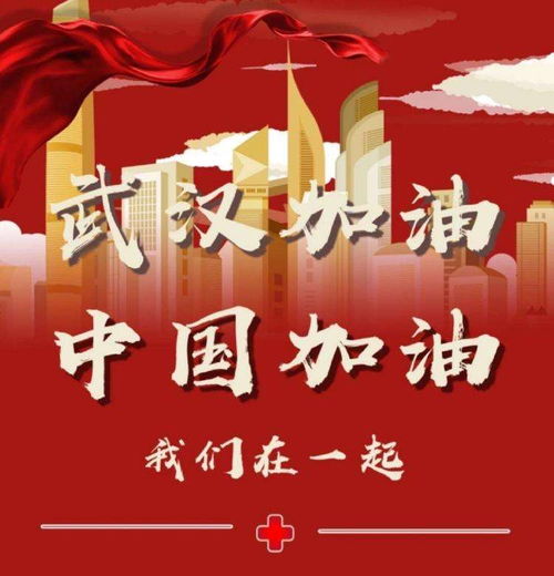 武漢,抗擊,疫情,句子