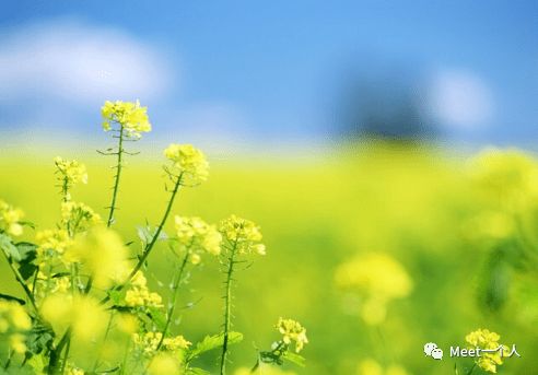 優(yōu)秀文案句子正能量