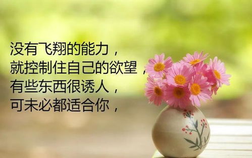 八月發(fā)朋友圈早安的句子正能量