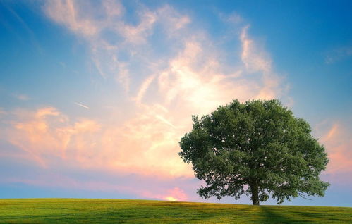 早安勵志說說正能量新的一天開始啦,女性早安勵志說說正能量,朋友圈早安心情說說正能量每一句都很勵志
