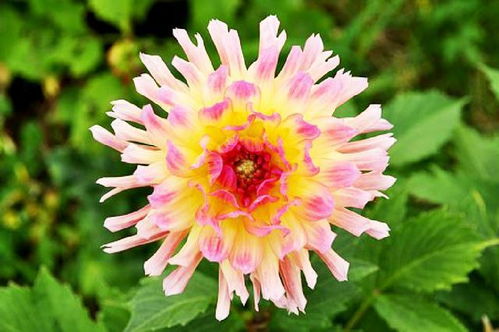 句子,滿(mǎn)滿(mǎn),能量,收獲