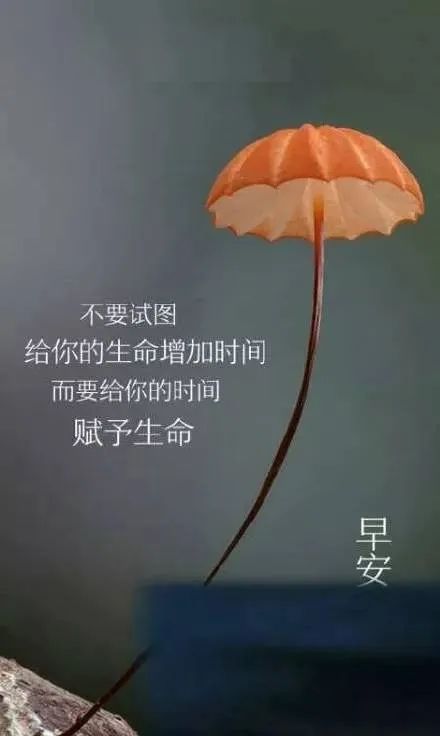 無(wú)助正能量的句子