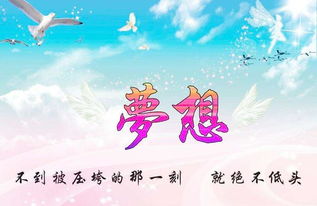 團隊精神,句子,能量,夢想