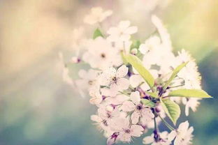 句子,能量,恢復(fù)