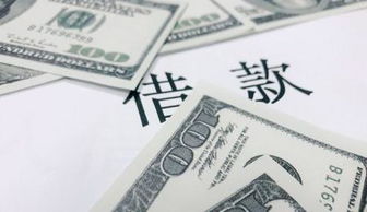 支付借款利息的會計(jì)科目,借款利息是什么會計(jì)科目,應(yīng)付借款利息會計(jì)科目