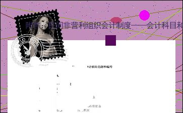 非營利組織會(huì)計(jì)制度的會(huì)計(jì)科目使用說明