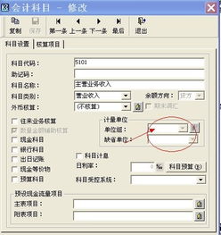金蝶會(huì)計(jì)科目計(jì)量單位