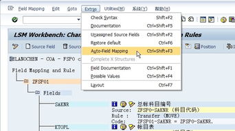 導出,會計科目,sap