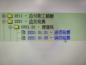 會(huì)計(jì)科目4-3-3-3是什么意思,會(huì)計(jì)科目4-3-3-3格式,會(huì)計(jì)科目借貸方向口訣