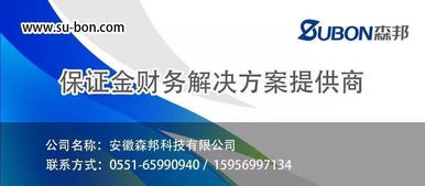 投標(biāo)保證金的會計科目,投標(biāo)保證金做什么會計科目,投標(biāo)保證金計入什么會計科目