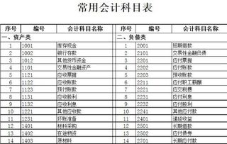 海外投資公司會(huì)計(jì)科目